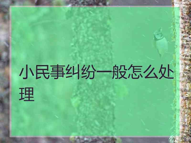 小民事纠纷一般怎么处理