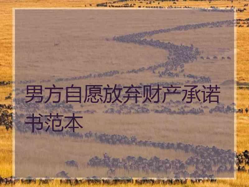 男方自愿放弃财产承诺书范本