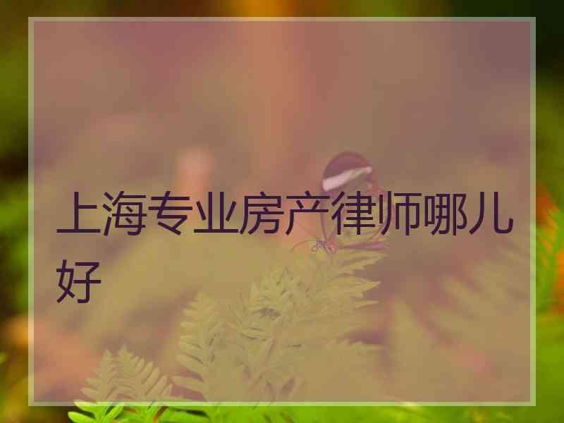 上海专业房产律师哪儿好