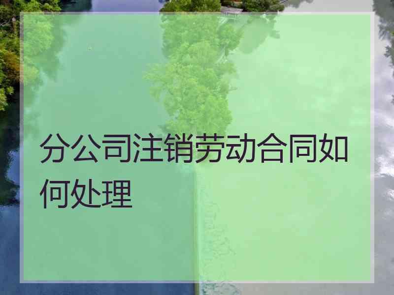 分公司注销劳动合同如何处理