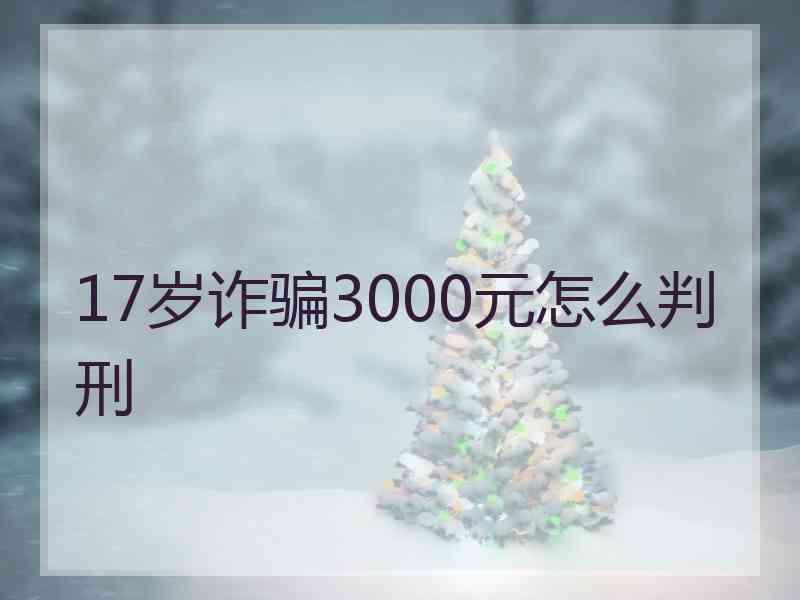 17岁诈骗3000元怎么判刑