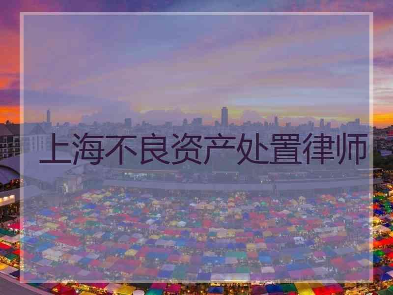 上海不良资产处置律师