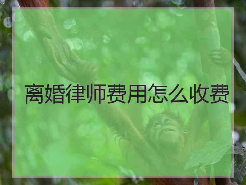 离婚律师费用怎么收费