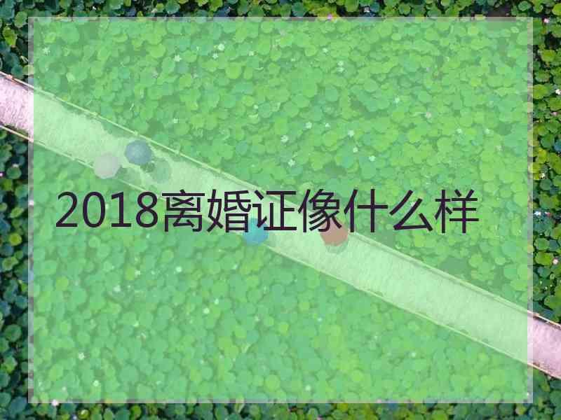 2018离婚证像什么样