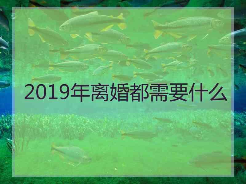 2019年离婚都需要什么