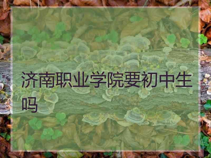 济南职业学院要初中生吗