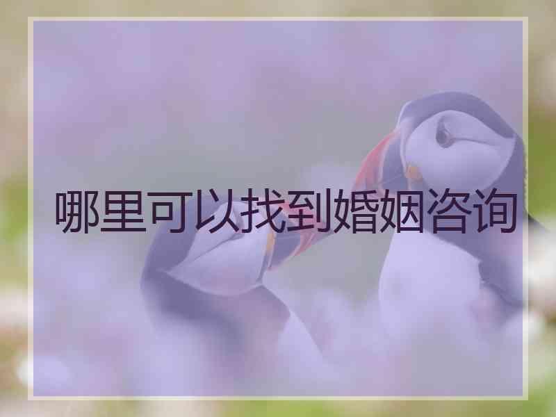 哪里可以找到婚姻咨询