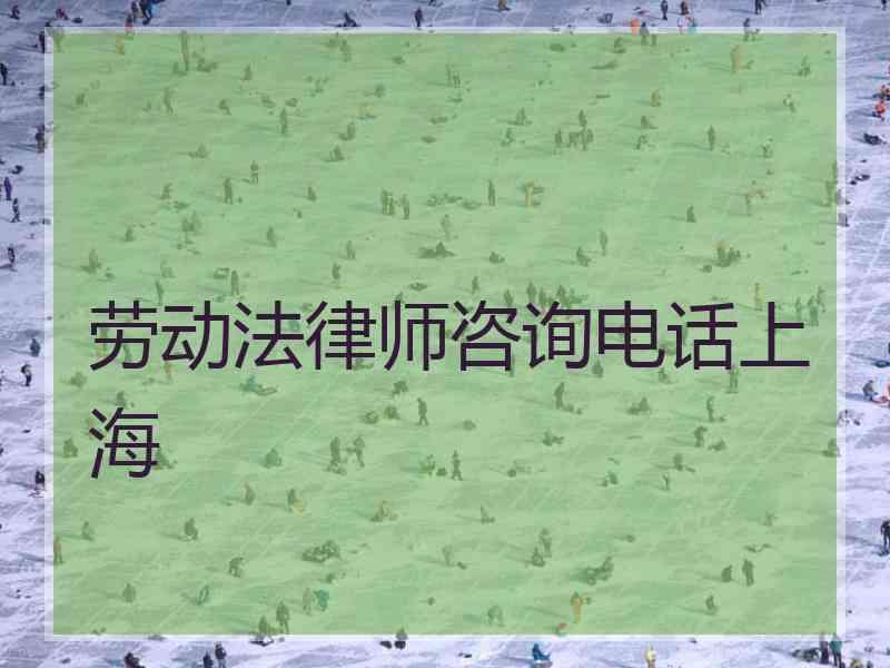 劳动法律师咨询电话上海