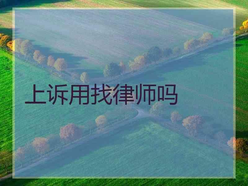 上诉用找律师吗