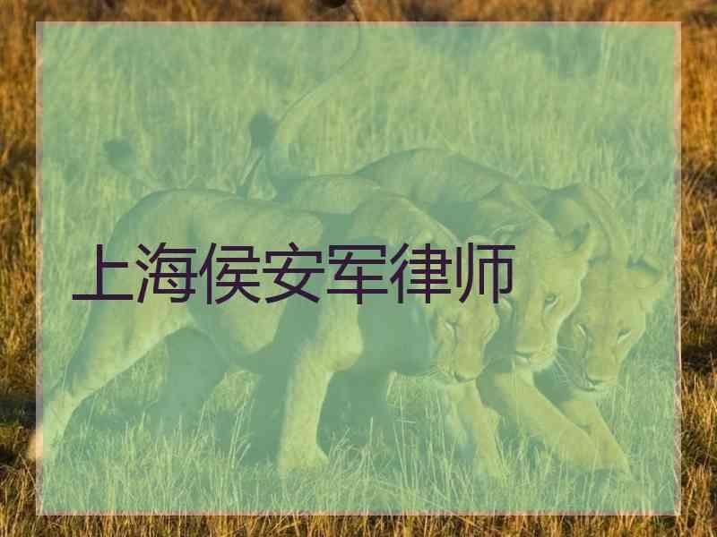 上海侯安军律师
