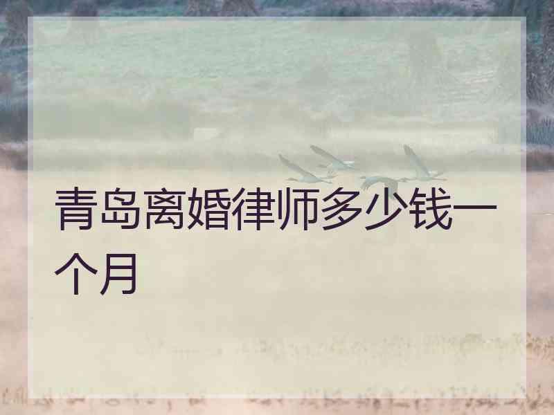 青岛离婚律师多少钱一个月