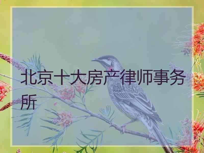 北京十大房产律师事务所