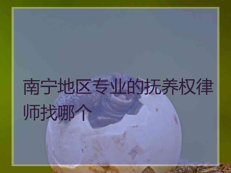 南宁地区专业的抚养权律师找哪个