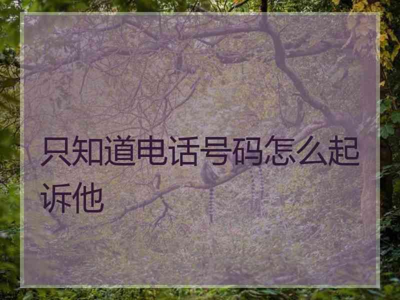 只知道电话号码怎么起诉他