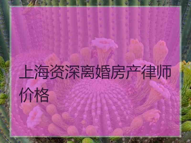 上海资深离婚房产律师价格