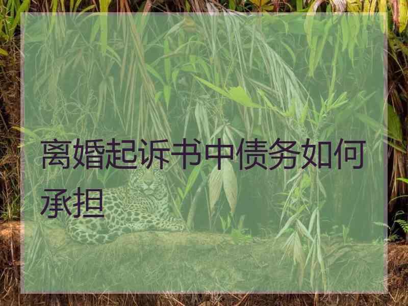 离婚起诉书中债务如何承担