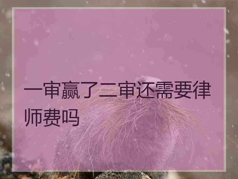 一审赢了二审还需要律师费吗