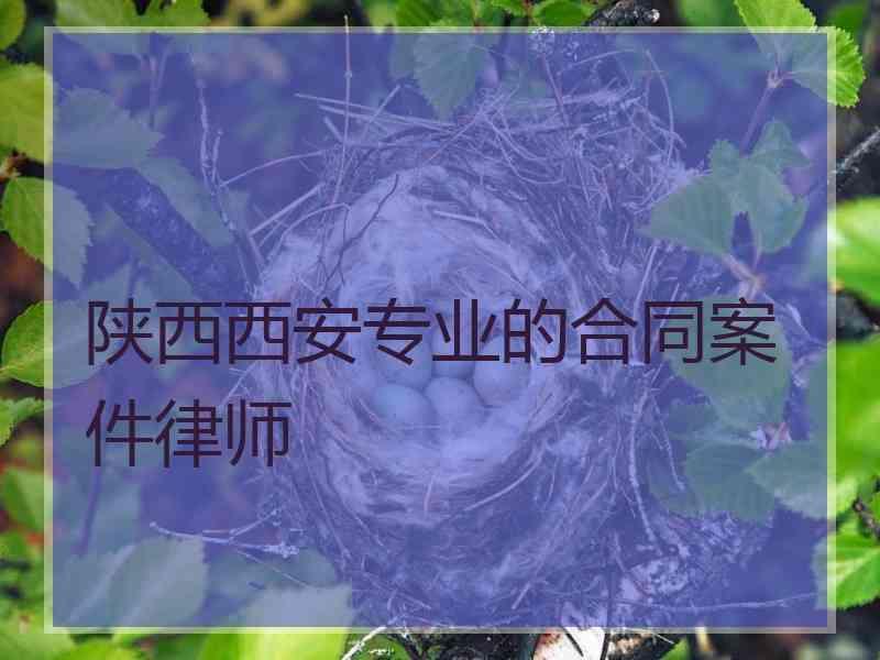 陕西西安专业的合同案件律师