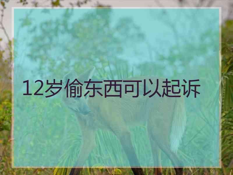 12岁偷东西可以起诉