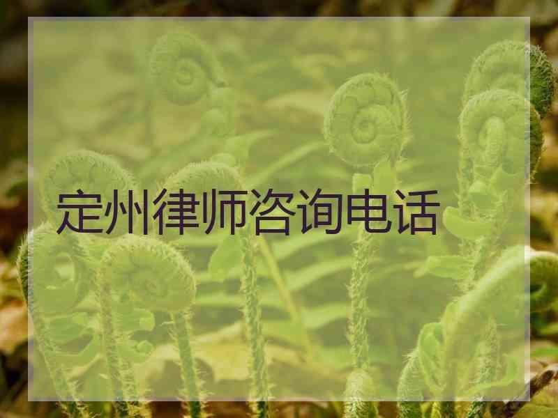 定州律师咨询电话