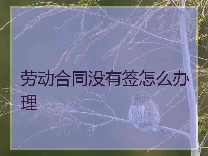 劳动合同没有签怎么办理