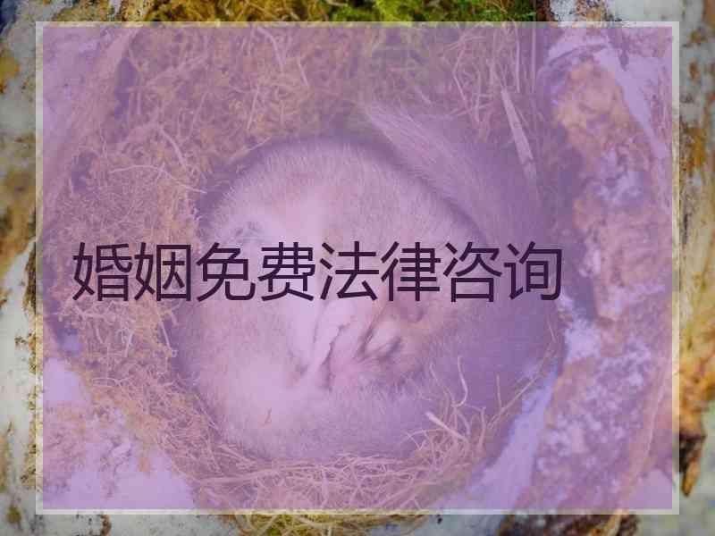 婚姻免费法律咨询