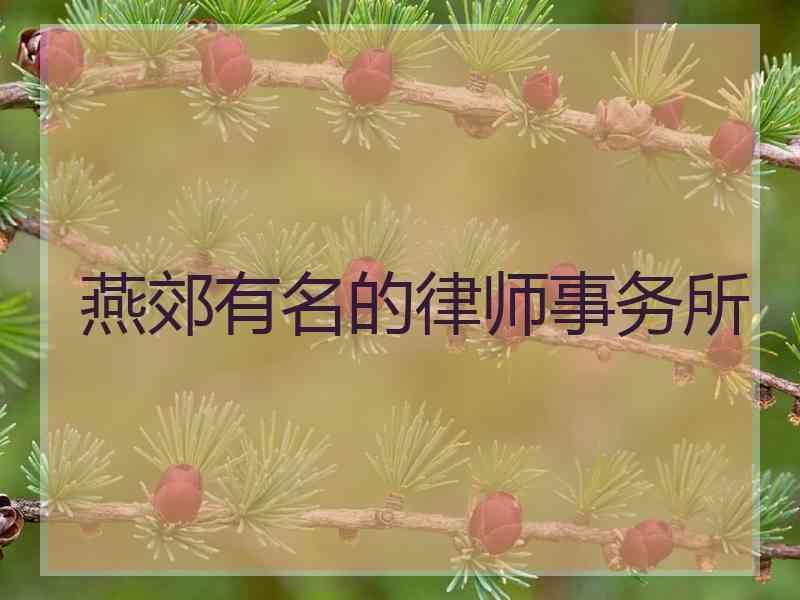 燕郊有名的律师事务所