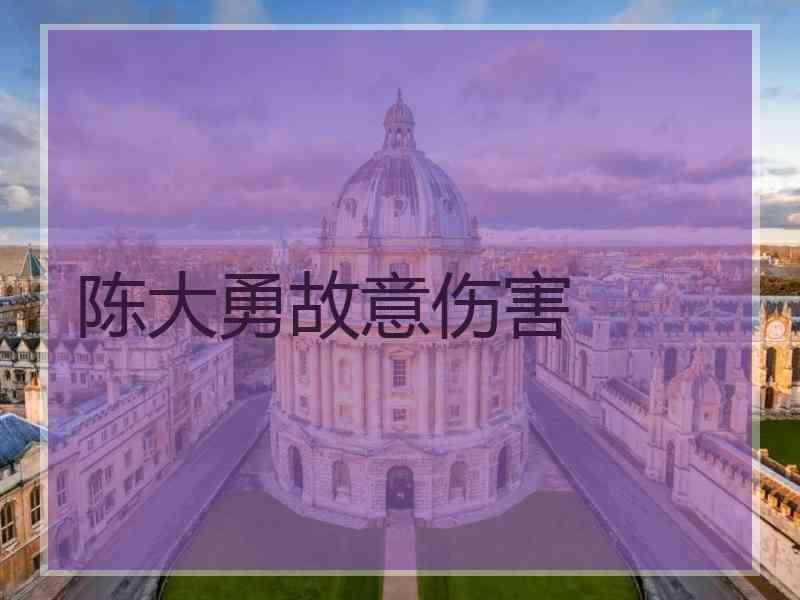 陈大勇故意伤害