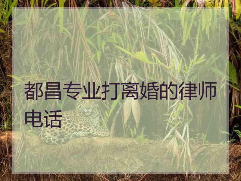 都昌专业打离婚的律师电话