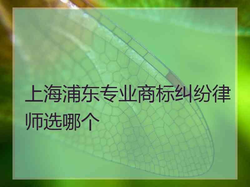 上海浦东专业商标纠纷律师选哪个