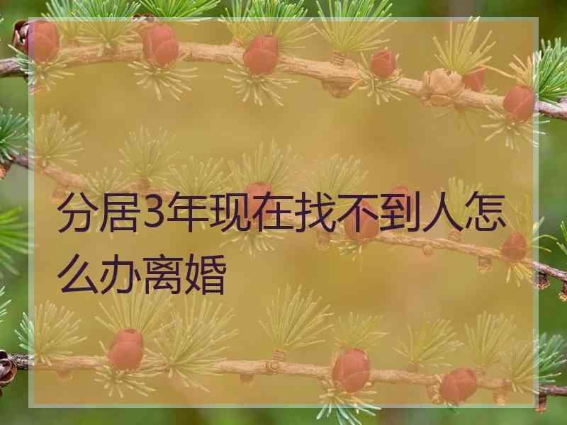 分居3年现在找不到人怎么办离婚