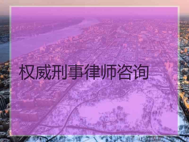 权威刑事律师咨询
