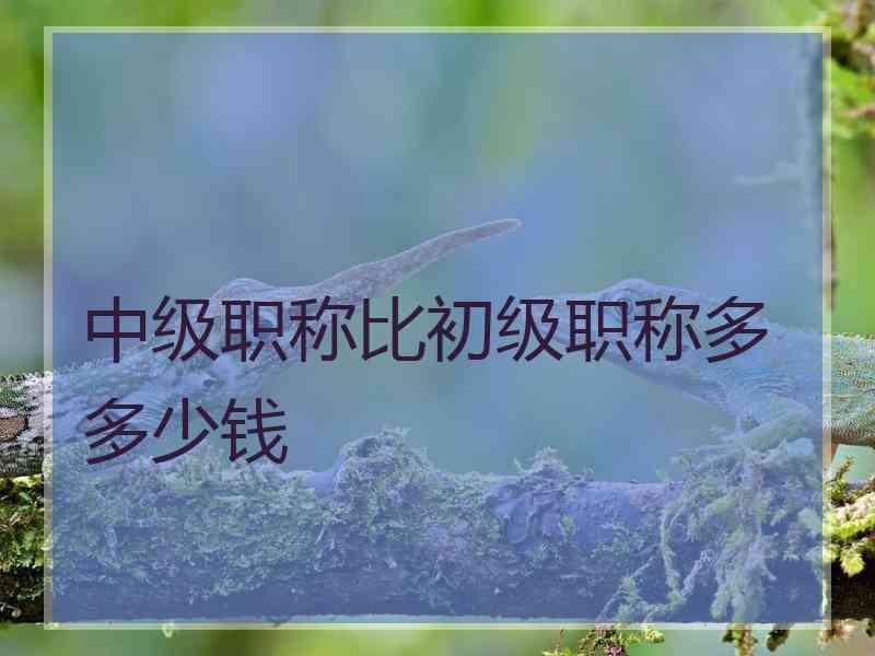 中级职称比初级职称多多少钱