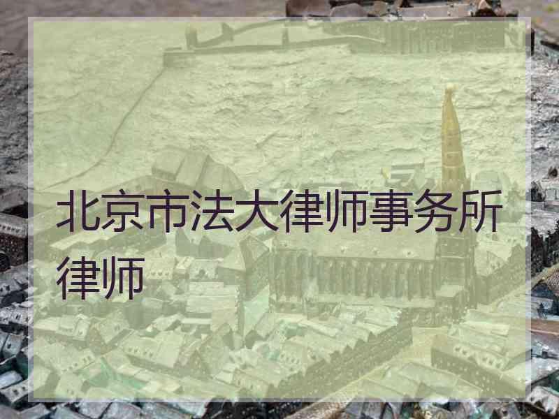 北京市法大律师事务所律师