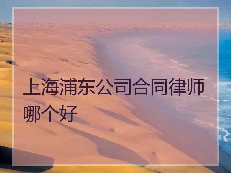 上海浦东公司合同律师哪个好