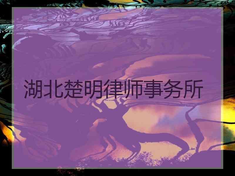 湖北楚明律师事务所