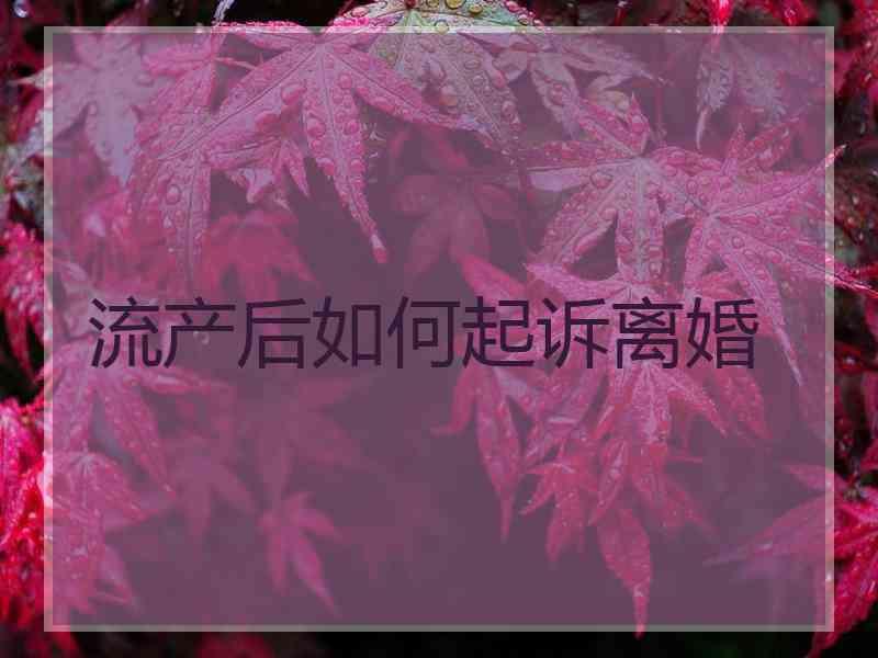 流产后如何起诉离婚