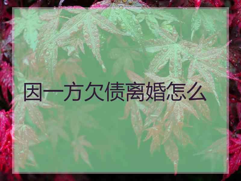 因一方欠债离婚怎么