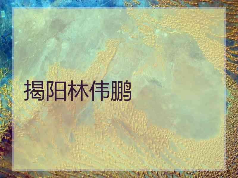 揭阳林伟鹏