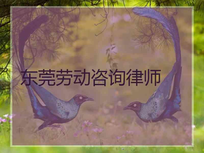 东莞劳动咨询律师