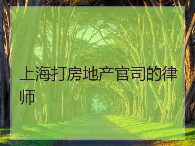 上海打房地产官司的律师