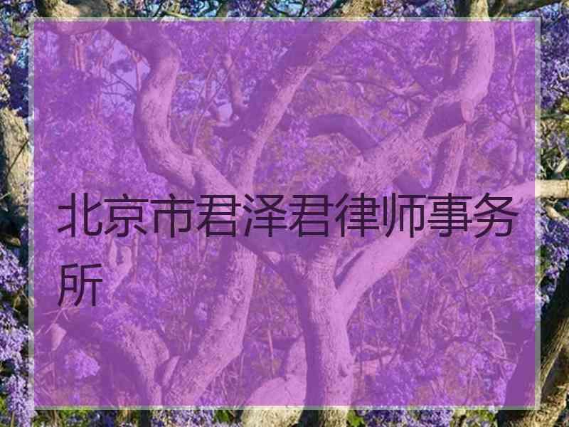 北京市君泽君律师事务所