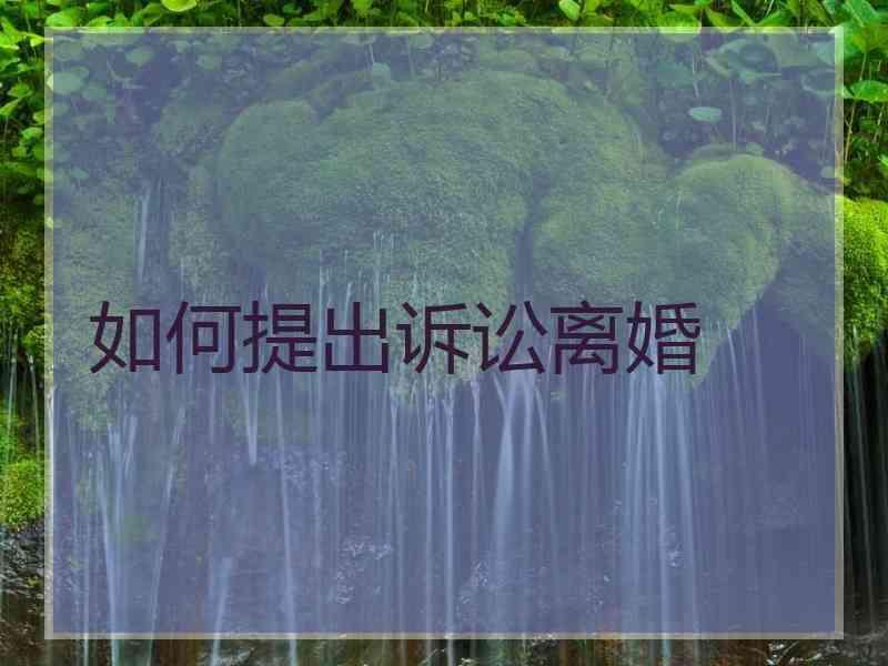如何提出诉讼离婚