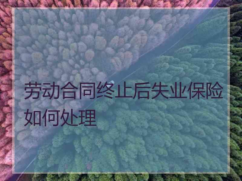 劳动合同终止后失业保险如何处理