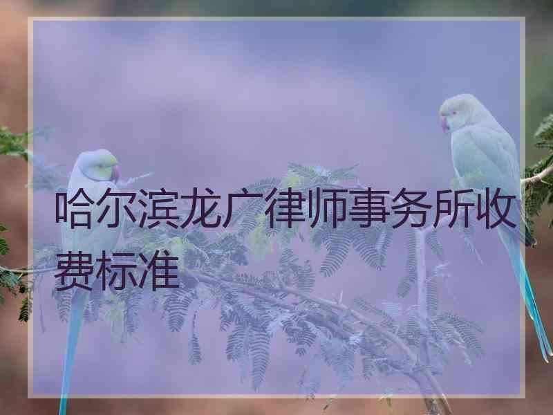 哈尔滨龙广律师事务所收费标准