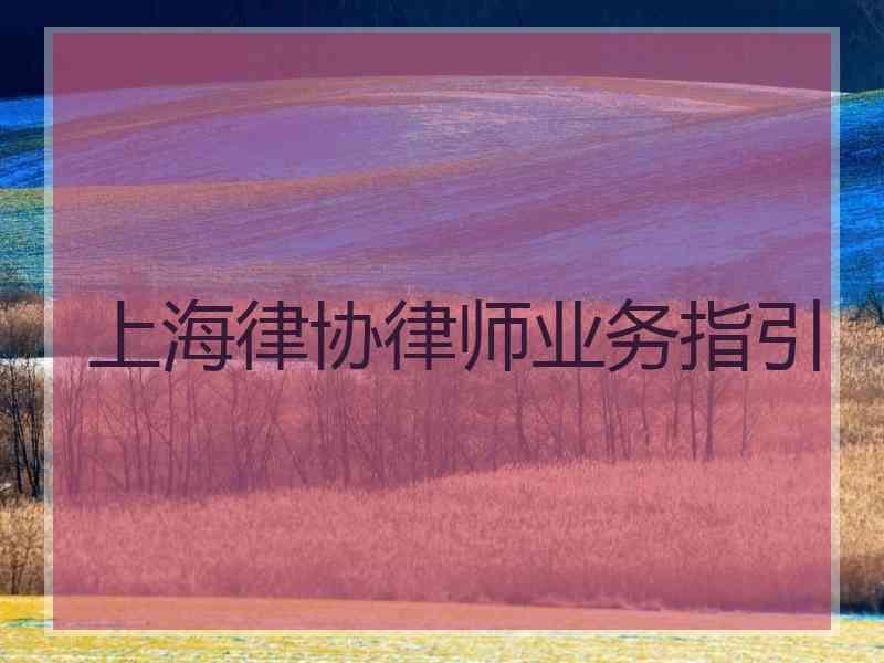 上海律协律师业务指引