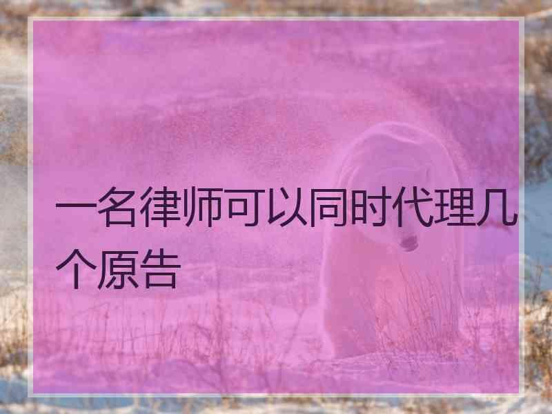 一名律师可以同时代理几个原告