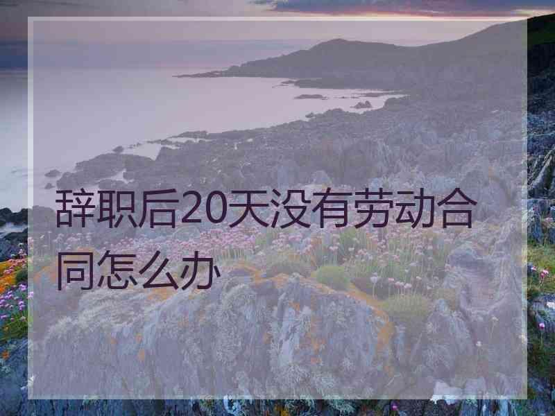 辞职后20天没有劳动合同怎么办