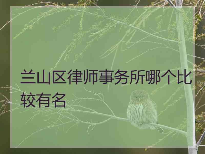 兰山区律师事务所哪个比较有名