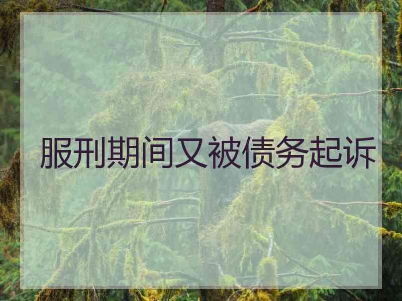 服刑期间又被债务起诉